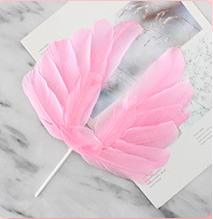 Angel Wings cake topper
