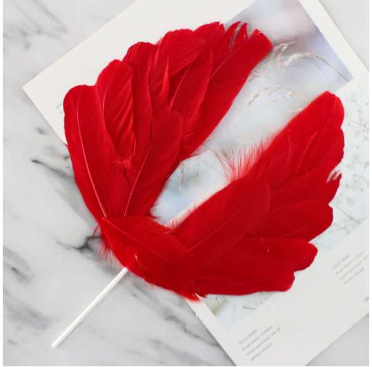 Angel Wings cake topper