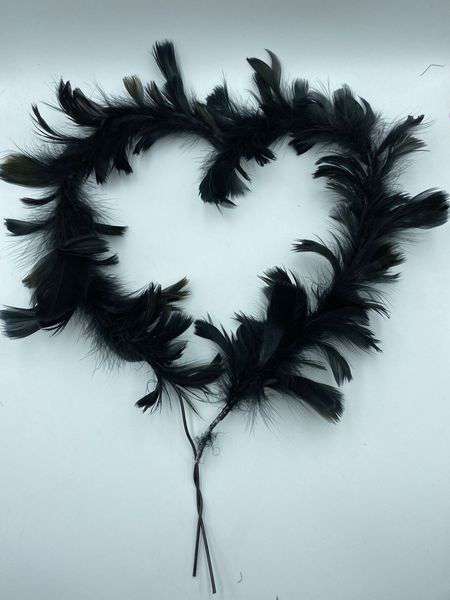 Feather with light topper