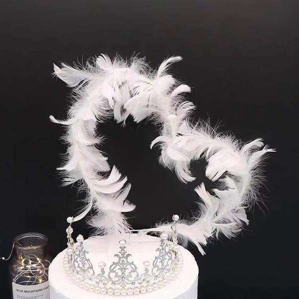 Feather with light topper