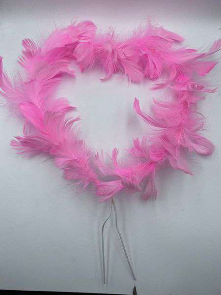 Feather with light topper