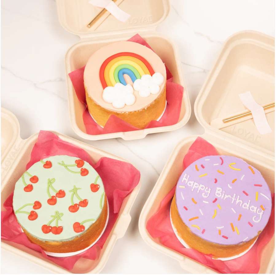 Premium Bento Box china