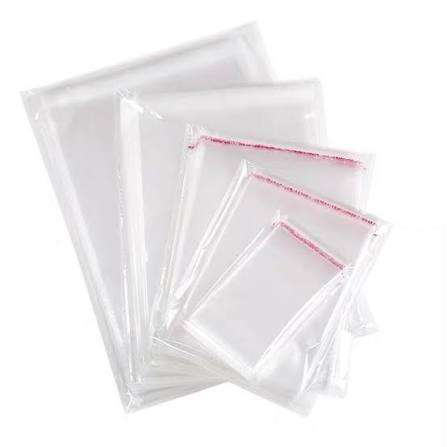 Poly Bag 100gm